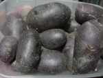 sarpo blue danube potatoes